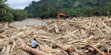 Banjir Sumatera Seret Kayu Gelondongan, Bareskrim Selidiki Dugaan Pembalakan Liar