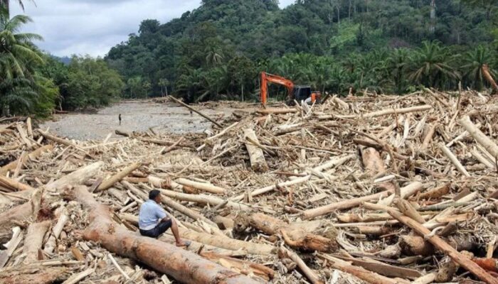 12 Perusahaan Diduga Terlibat Penyebab Banjir Bandang di Sumatera dan Aceh