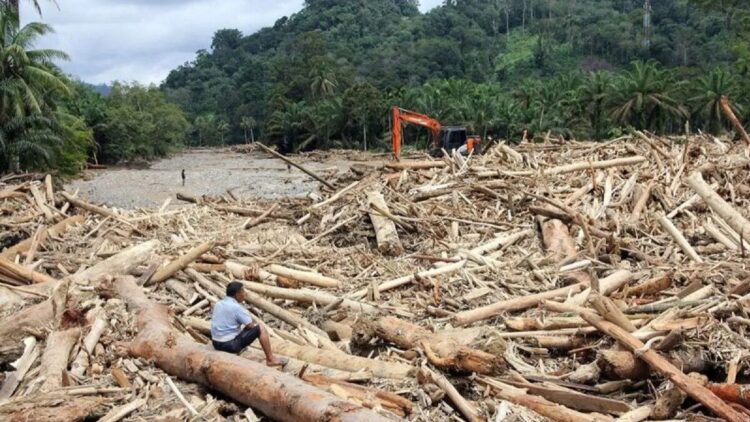 Wakapolri: Tim Bareskrim Dibentuk untuk Selidiki Dugaan Pembalakan Liar di Sumbar 1 Warga mengamati sampah kayu gelondongan pascabanjir bandang di Desa Aek Garoga, Kecamatan Batang Toru, Kabupaten Tapanuli Selatan, Sumatera Utara, Sabtu (29/11/2025). ANTARA FOTO/Yudi Manar/agr/am.