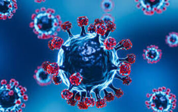 ilustrasi Influenza A (H3N2). (dok. istimewa)