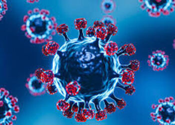 ilustrasi Influenza A (H3N2). (dok. istimewa)