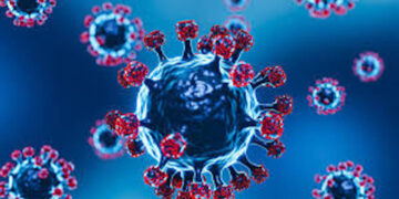 ilustrasi Influenza A (H3N2). (dok. istimewa)