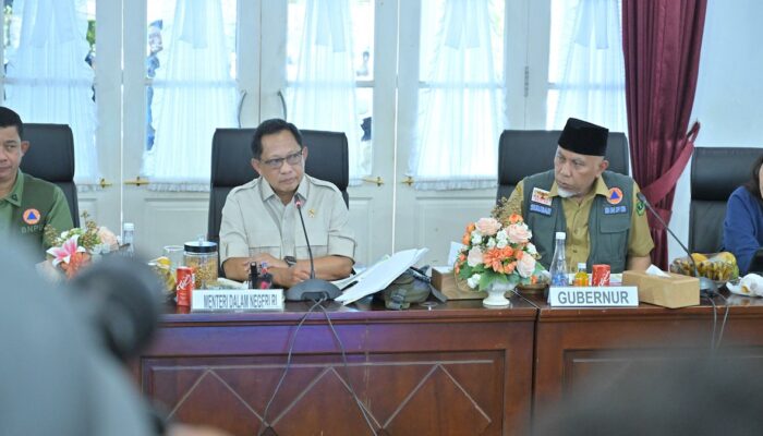 Mendagri Dorong Kepala Daerah Manfaatkan Program Nasional 300 Ribu Jembatan Gantung