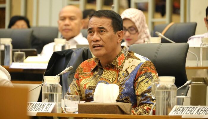 Indonesia Produsen Sawit Terbesar, Mentan: Tak Ada Alasan Harga Minyak Naik