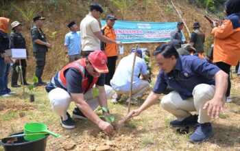 PT Semen Padang gelar penanaman simbolis sejuta pohon untuk Sumbar. (dok. Humas)