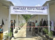 2.421 KK Korban Bencana di Agam Diverifikasi untuk Bantuan Kemensos