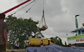 TNI AL amankan penggelapan timah. (dok. istimewa)