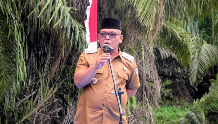 Bupati Pasaman Barat Resmikan Jembatan Bailey di Nagari Koto Gadang Jaya