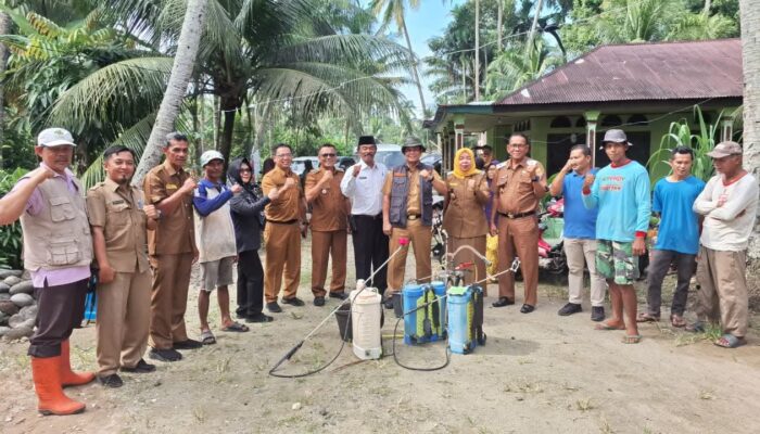 Antisipasi Gagal Panen, Pemko Pariaman Lakukan Penyemprotan Wereng 