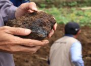 Badan Geologi Temukan Jejak Vulkanik di Sekitar Sinkhole Situjuah Batua