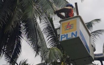 Pemeliharaan jaringan listrik oleh PLN UID Sumbar. (dok. istimewa)