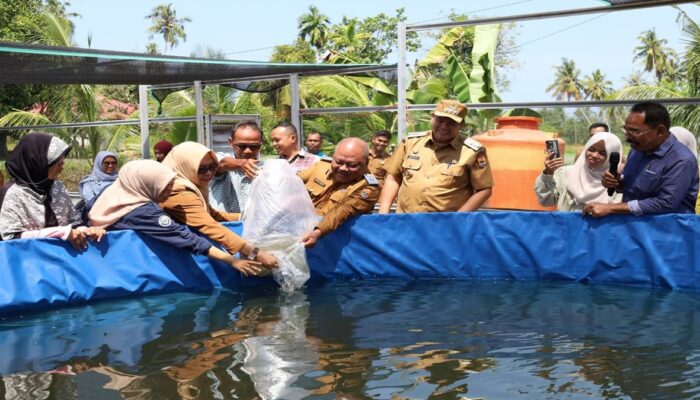 Wali Kota Pariaman Tebar Ribuan Benih Lele di Desa Ampalu