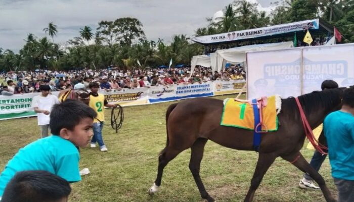 Pemkab Padang Pariaman Siapkan Pacu Kudo 2026 Saat Lebaran, Dongkrak Ekonomi Warga
