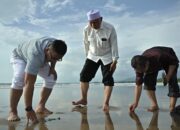 Ada Daratan Baru di Pantai Parkit, Gubernur Mahyeldi: Perlu Kajian Lebih Lanjut