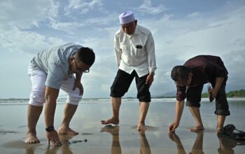 Gubernur Mahyeldi melakukan pengecekan daratan baru di Pantai Parkit. (dok. istimewa)