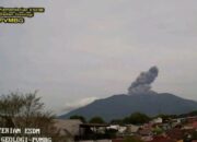 Gunung Marapi Erupsi Dini Hari, Status Tetap Waspada